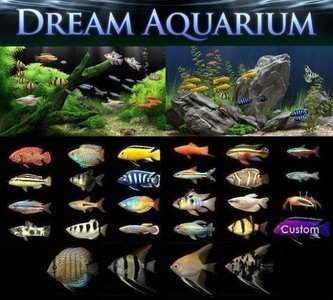 dream aquarium serial no